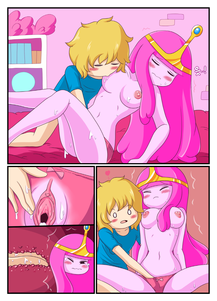 Hora da Aventura – Finn e a Princesa Jujuba
